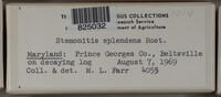 Image Associated With the Occurence